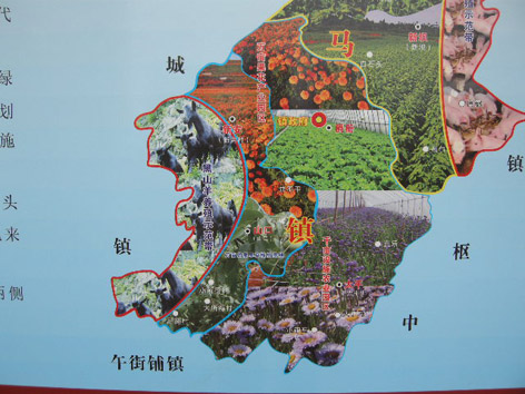 黑山羊產(chǎn)業(yè)發(fā)展規(guī)劃