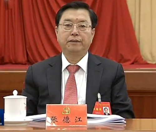 中共中央政治局委員、國(guó)務(wù)院副總理張德江