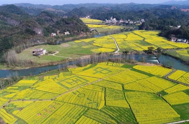 生態(tài)哲學(xué)視域下的鄉(xiāng)村振興