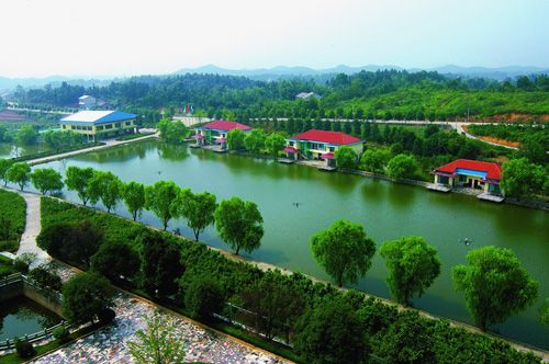 湖南休閑農(nóng)業(yè)產(chǎn)業(yè)發(fā)展規(guī)劃