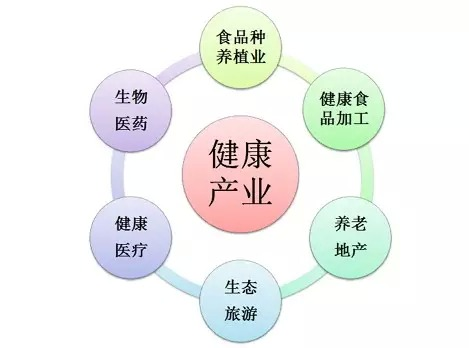 武陵山（懷化）健康產業博覽會是市政府打造'健康之城'的重要手段
