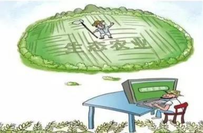 中機院專家認為'互聯(lián)網(wǎng)＋'正向生態(tài)農(nóng)業(yè)產(chǎn)業(yè)發(fā)展不斷滲透