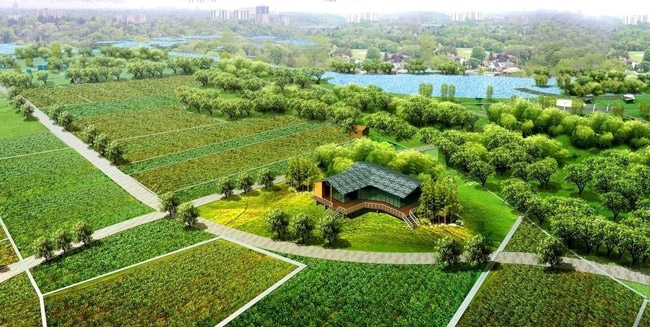 2017～2020年建設(shè)區(qū)域生態(tài)循環(huán)農(nóng)業(yè)項目300個左右