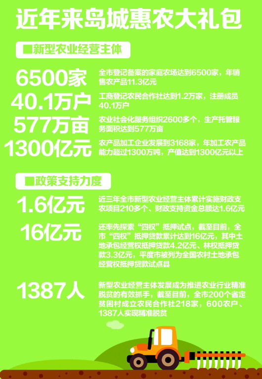 青島鄉(xiāng)村振興戰(zhàn)略