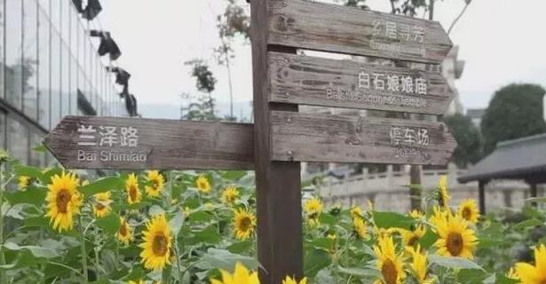 田園綜合體規劃案例：浙江紹興-柯橋區漓渚鎮“花香漓渚”田園綜合體