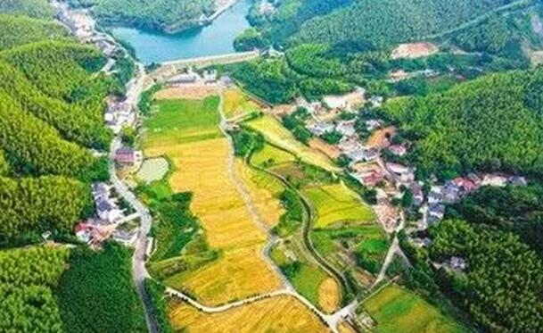 未來30年房地產(chǎn)轉(zhuǎn)型的機遇：農(nóng)業(yè)莊園＋田園綜合體