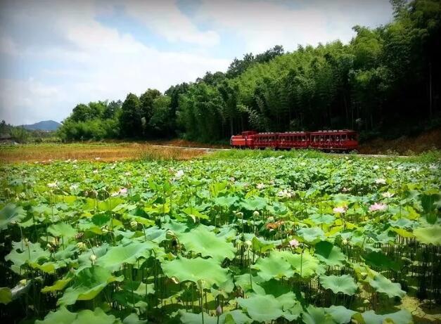 吸引社會資本20億，魯家村田園綜合體是如何突破并創(chuàng)新的呢？