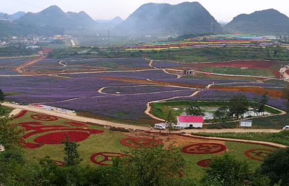 貴州首個田園綜合體“世界花都”正式開園：總投資30億元