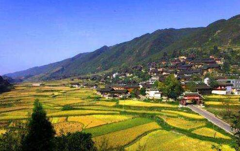河北扎實(shí)深入推動(dòng)鄉(xiāng)村振興戰(zhàn)略落地見(jiàn)效，開(kāi)創(chuàng)全省“三農(nóng)”工作新局面