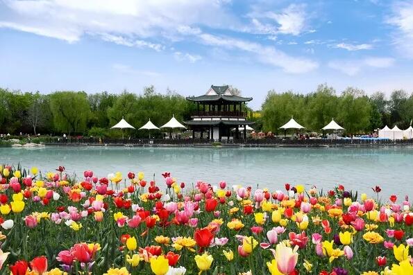 北京市延慶區四季花海