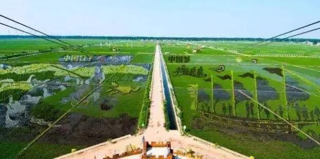 2019年國家先給錢后建設(shè)的4個農(nóng)業(yè)投資項目擁有上千萬、上億的資金扶持