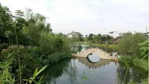 鄉村田園綜合體策劃：康養是目的，休閑是方式，田園是載體