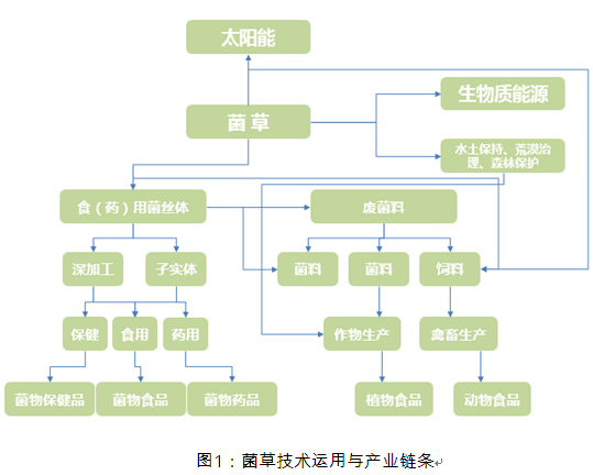 菌草產業研究分析圖