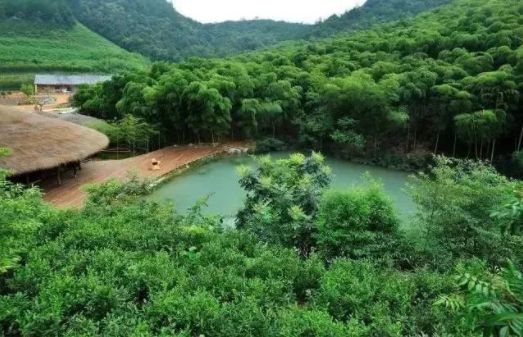 鄉村振興：休閑農業項目拿地要點及方案