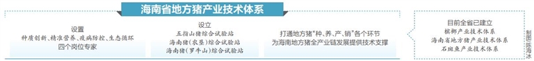 全國首個(gè)地方豬產(chǎn)業(yè)技術(shù)體系啟動(dòng)  將解決海南地方豬產(chǎn)業(yè)問題