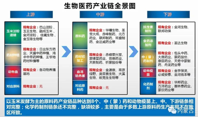 內(nèi)蒙古自冶區(qū)生物醫(yī)藥產(chǎn)業(yè)鏈全景圖 內(nèi)蒙古自冶區(qū)生物醫(yī)藥產(chǎn)業(yè)鏈全景圖