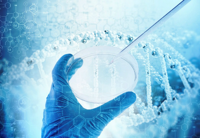 生物醫藥產業政策總體特征,生物醫藥產業優化建議