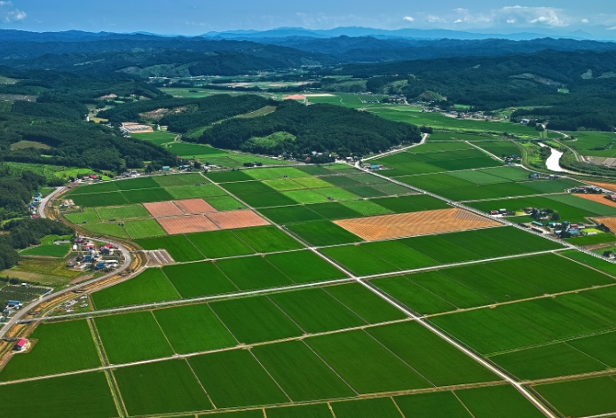 土地利用規劃與鄉村振興戰略探討 土地利用規劃與鄉村振興戰略探討