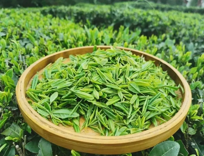 數字經濟視角下我國新茶飲行業的并購現狀、動因與趨勢