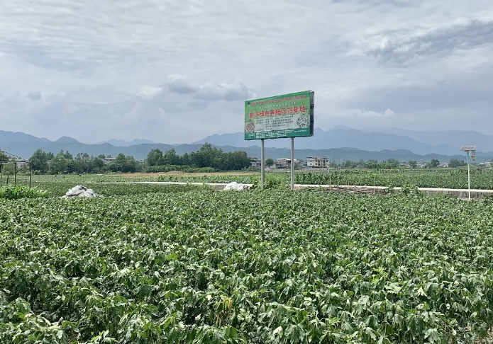 國家發(fā)展改革委將加強農(nóng)業(yè)專項中央預算內(nèi)投資管理 國家發(fā)展改革委將加強農(nóng)業(yè)專項中央預算內(nèi)投資管理