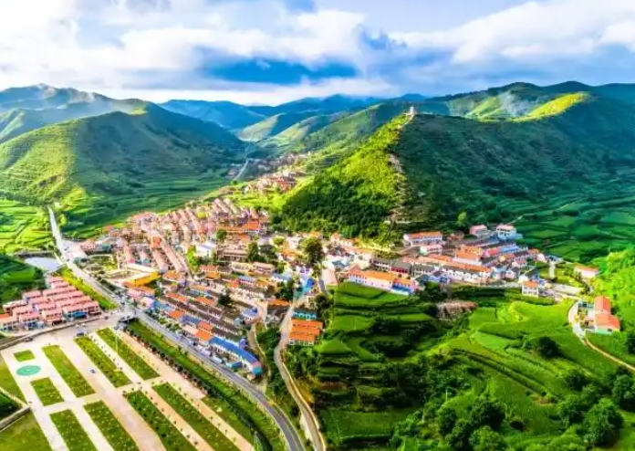 國有企業(yè)鄉(xiāng)村振興產(chǎn)業(yè)項目發(fā)展指引