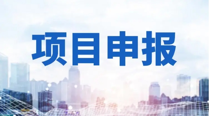 2025“兩業(yè)”專項（制造業(yè)+服務業(yè)）中央預算內投資項目申報避坑指南