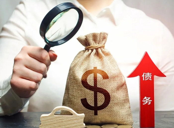 近十年（2015—2024年）專項(xiàng)債申報(bào)成功率分析及提高通過率的策略建議