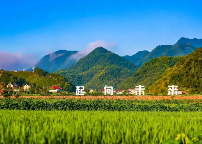 我國西南地區鄉村全面振興的現實困境 我國西南地區鄉村全面振興的現實困境