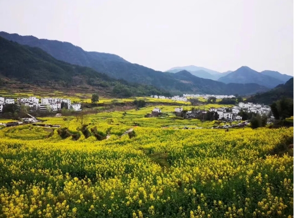 鄉村旅游、文化綜合體,開發模式與運營方向 鄉村旅游、文化綜合體,開發模式與運營方向